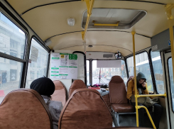 Сразу 13 популярных маршруток поменяют свои номера в Воронеже