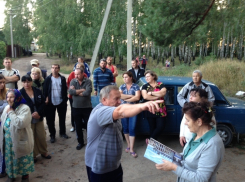Жители Подгорного: Мы не дадим спилить наш лес! 