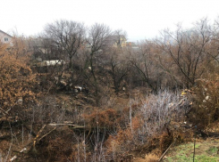 Североатлантический циклон несет заморозки в Воронеж