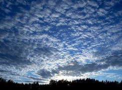 К концу выходных в Воронеже закончатся дожди и станет еще теплее