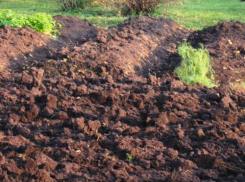 Труп воронежской пенсионерки два дня пролежал в огороде