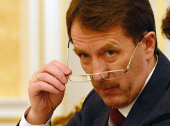 Губернатор Воронежской области поможет спасать экономику России