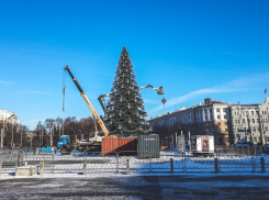 Демонтаж главной новогодней елки сняли в Воронеже