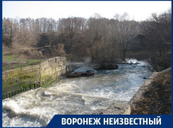Как обычный приток Дона превратился в воронежскую «вонючку» с запахом фекалий