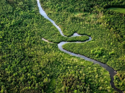 Границы зеленого пояса Воронежа определят за 3,7 млн рублей