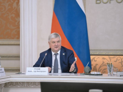 Александр Гусев заявил, что в Воронежской области создан СССР в лучшем проявлении