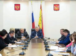 У депутатов Воронежской областной Думы могут сократиться оплачиваемые отпуска