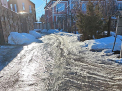 Даже мусоровоз не может добраться: жители Воронежа пожаловались на неустроенную улицу