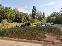 Мэрию просят не идти на поводу у застройщика, а подумать о здоровье воронежцев