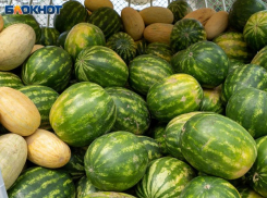 Без ослизнений: как выбрать вкусный арбуз, рассказал воронежский Роспотребнадзор