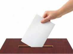 Борис Скрынников: Удивляет огромное количество недействительных бюллетеней