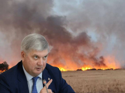 Губернаторские акции Александра Гусева пошли вверх на фоне истории с воронежскими погорельцами