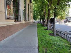 Позитивные итоги года в сфере архитектуры и экологии Воронежа