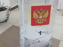  Фейк о вбросах в Новой Усмани «спалился» по полицейскому значку 
