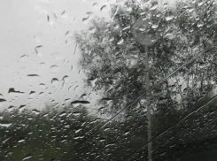 Черноморский циклон принесет в Воронеж локальные дожди и грозы