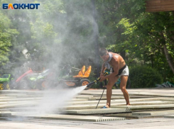 Невиданное потепление в ближайшие десятилетия спрогнозировали воронежские экологи