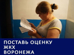 Парад коммунальных аварий и астрономические суммы на ОДН стали главными проблемами воронежского ЖКХ: итоги 2016 года