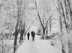 Метеозима начнется в Воронеже на следующей неделе