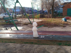 Первого снеговика заметили в Воронеже