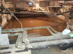 «Трубы заилены, колодцы заросли корнями»: воронежские общественники спасают городские канализации