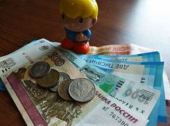 Женщина получила 1,6 млн рублей от государства за несуществующих детей под Воронежем