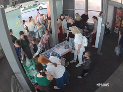 ТРЦ «Московский проспект» объяснили ситуацию с акциями по пристройству животных
