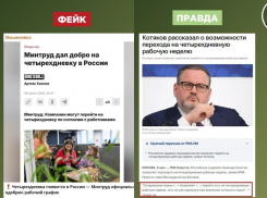 Российские власти опровергли фейк о введении 4-дневной рабочей недели