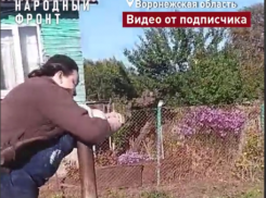 “Засохшая” деревушка в Воронежской области молит о помощи