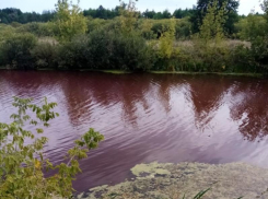 В цвет крови окрасился водоём в Воронежской области