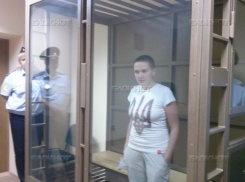 Надежда Савченко написала письмо уполномоченному по правам человека Элле Памфиловой 