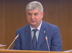 О росте зарплат воронежцев отчитался губернатор Гусев перед депутатами