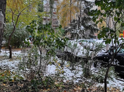 Погодный секрет конца ноября раскрыли в Воронежском гидрометцентре 