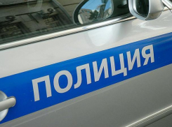 Патрульные машины для воронежской полиции обойдутся в 29 млн рублей