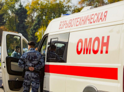 Схрон из гранат и тротиловых шашек нашли на даче у воронежской пенсионерки 