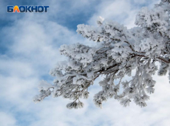 Непрерывный снегопад ожидается в начале рабочей недели в Воронеже