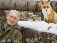 Удивительная дружба воронежца и дикой лисицы попала на видео