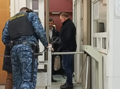 Председатель УИК, где выбирали Жукова и Губину, удивила суд новыми подробностями