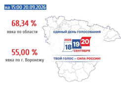 Приближаемся к 70%: озвучена свежая явка избирателей по Воронежской области 