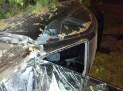 Иномарка протаранила забор и перевернулась на территории школы в Воронеже 