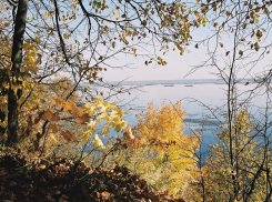 В Воронеже ближайшая неделя будет без дождей