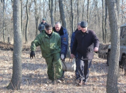 В Воронежской области уничтожили 20-килограммовую бомбу времен войны