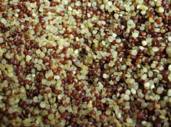 Воронежских школьников кормили опасной крупой