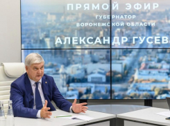 О планах по финансированию воронежского «Факела» рассказал Александр Гусев