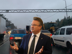 Ради выделенных полос жителей Воронежа поставят в новые пробки