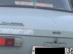 Жалобной надписью на «Москвиче» обратился воронежец к автомобилистам