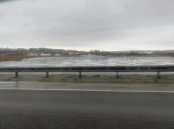 Рыбаки рискнули жизнью ради мимолетного удовольствия в Воронежской области