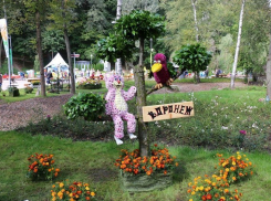 Итоги ландшафтной выставки-ярмарки «Воронеж-Сад»: новый формат и творческие встречи порадовали воронежцев