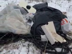 Бесцеремонное вторжение в природу заметили на поле под Воронежем