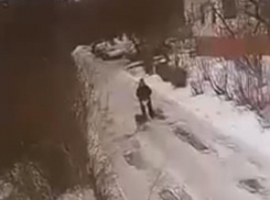 Собака напала на человека в Воронеже – опубликовано видео