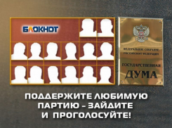 «Блокнот Воронеж» предлагает читателям отдать свой голос за наиболее достойную партию